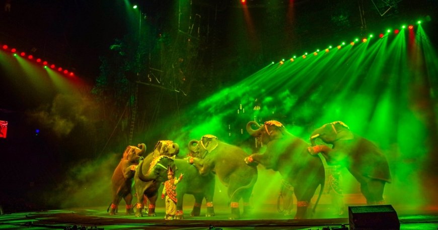 سیرک بین المللی چیملانگ گوانجو