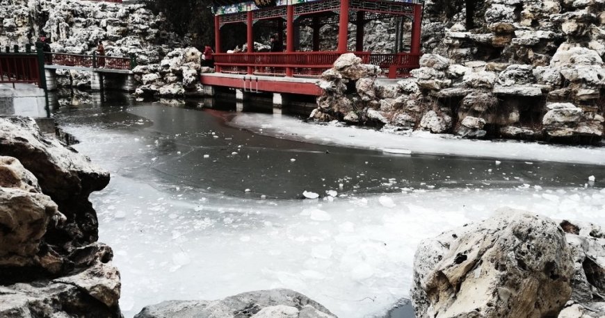 پارک بی‌ های پکن