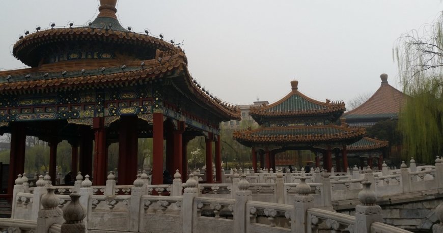 پارک بی‌ های پکن