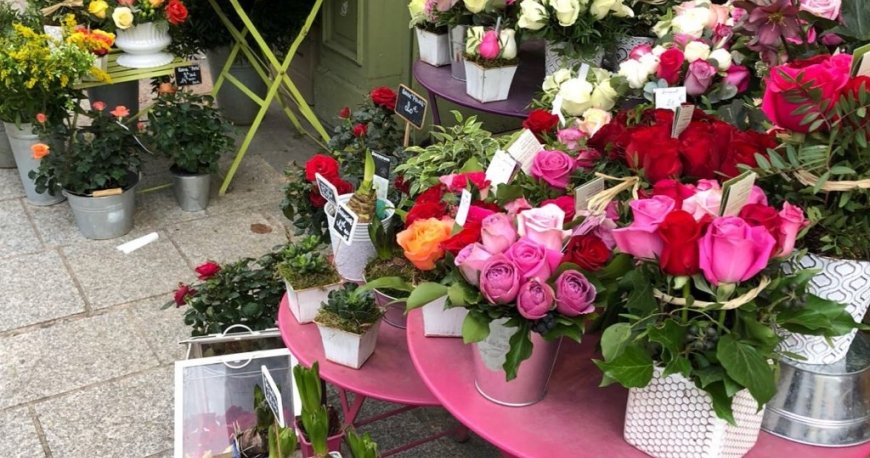 محله لی مارایس