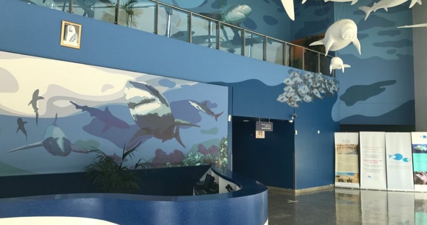 آکواریوم شارجه آکواریوم شارجه