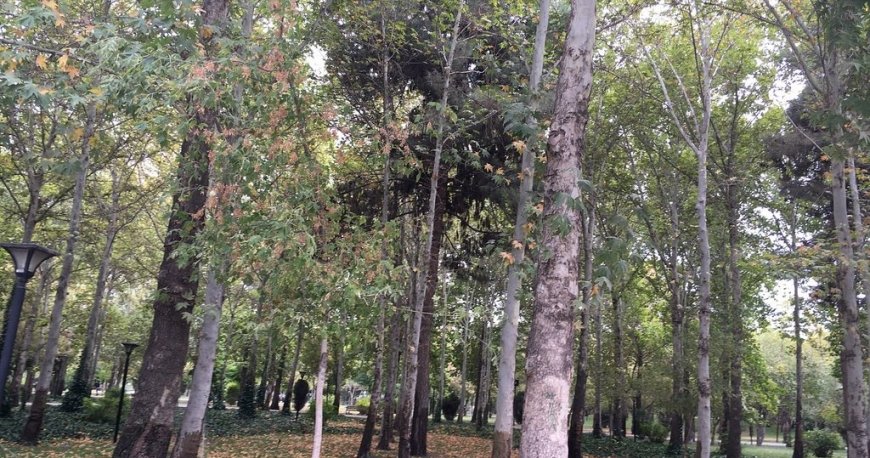 پارک ملت مشهد پارک ملت مشهد