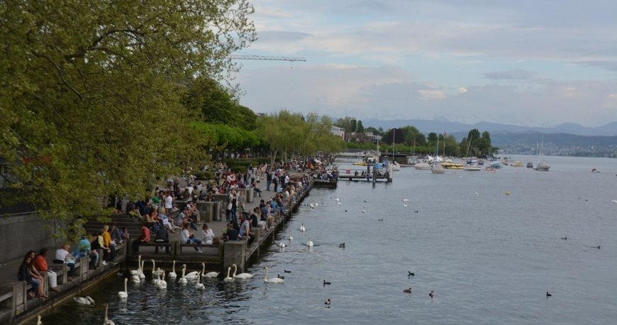 دریاچه زوریخ