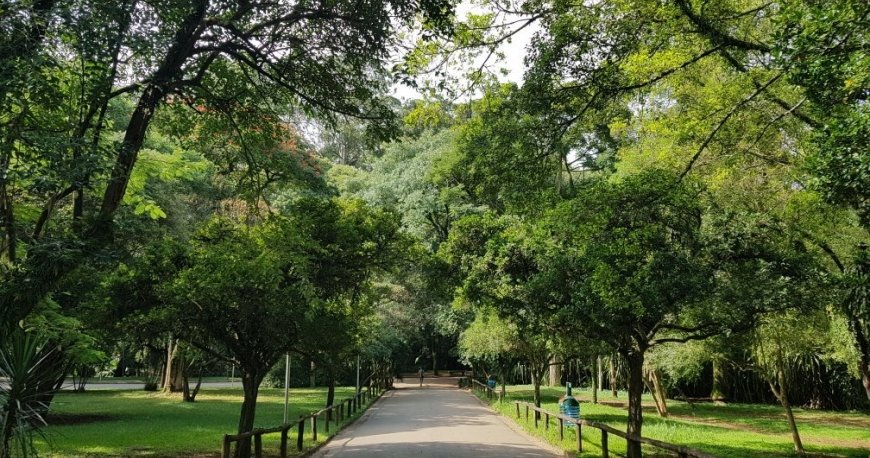 پارک ایبریپورا