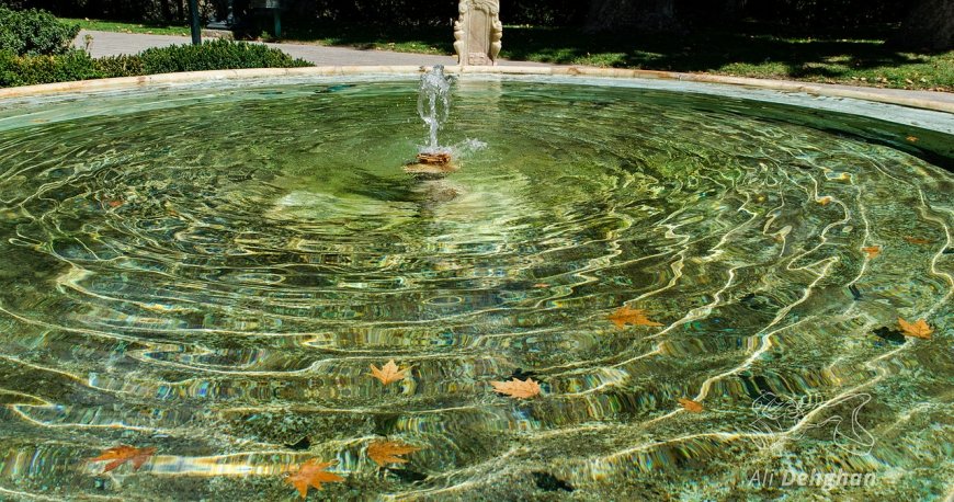 کاخ سعدآّباد تهران کاخ سعدآّباد تهران