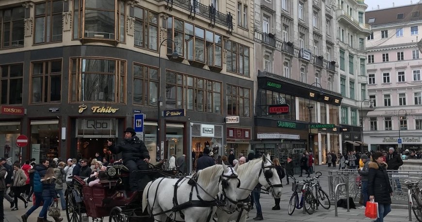 استفان پلاتز وین استفان پلاتز وین