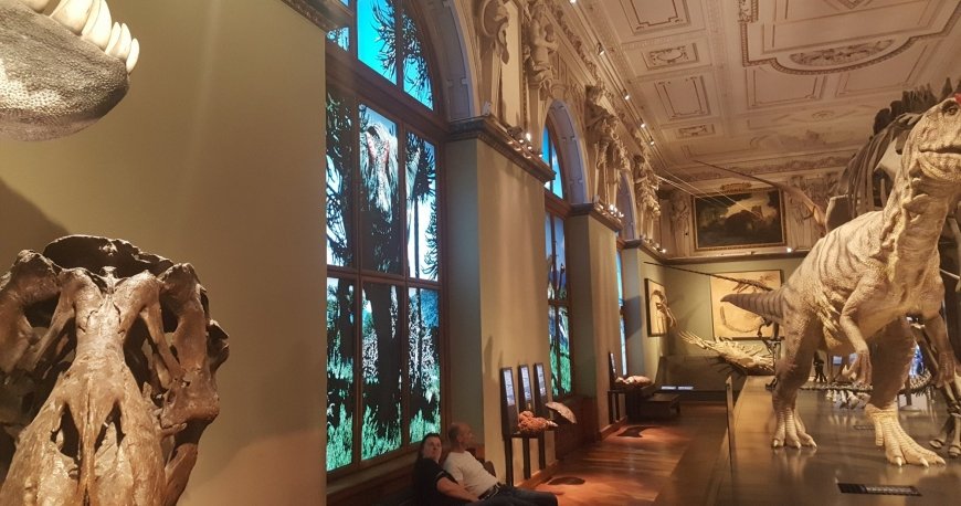 موزه نچرال هیستوری وین موزه نچرال هیستوری وین