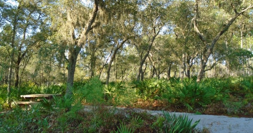 پارک حفاظت شده پاناما