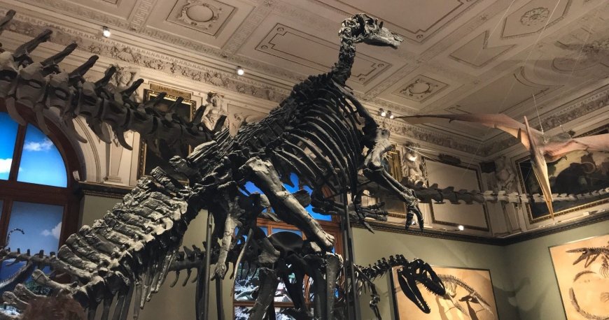 موزه کارتیر وین موزه کارتیر وین