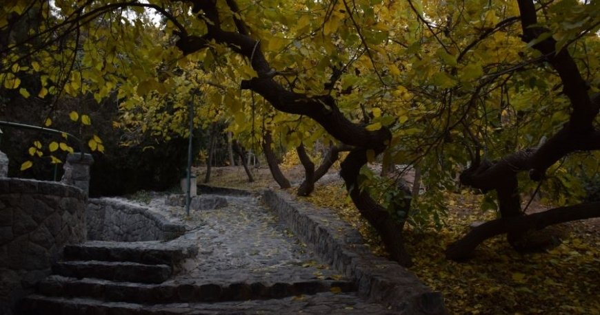 پارک سنگی جمشیدیه