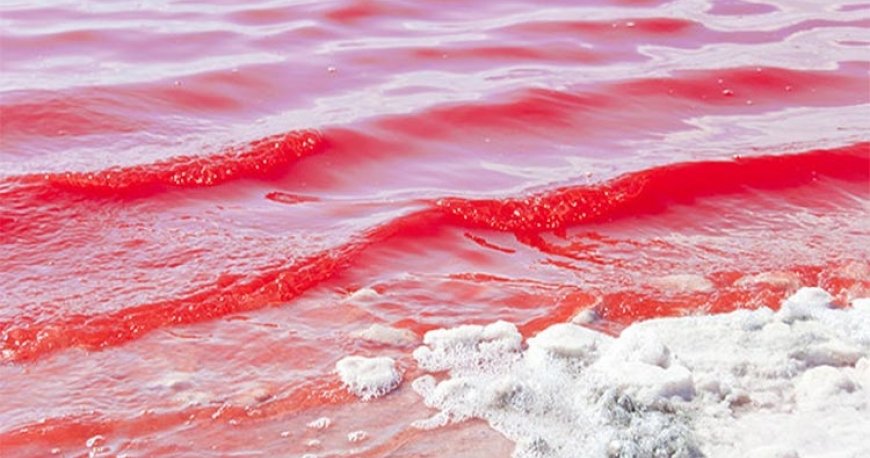 تالاب لیپار تالاب لیپار