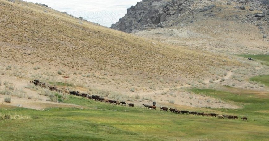 الوند الوند