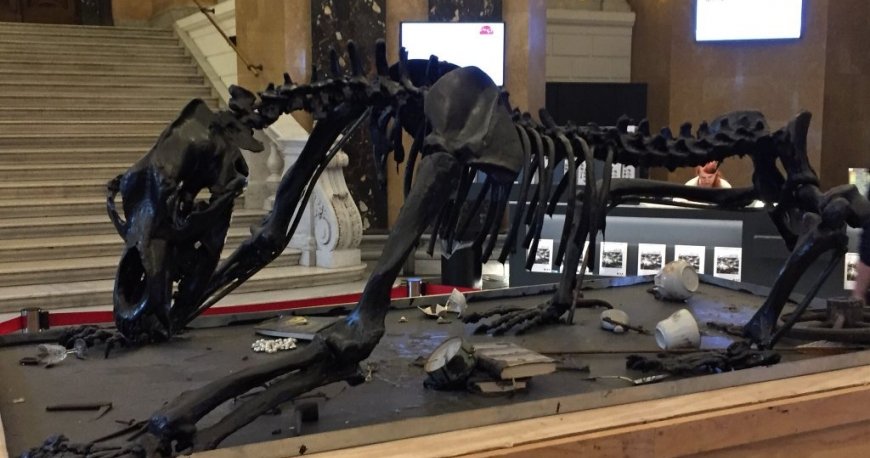 موزه نچرال هیستوری وین موزه نچرال هیستوری وین