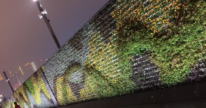 منطقه پودونگ شانگهای