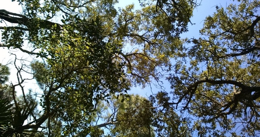 پارک حفاظت شده پاناما