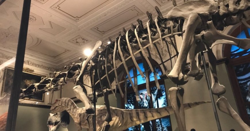 موزه کارتیر وین موزه کارتیر وین