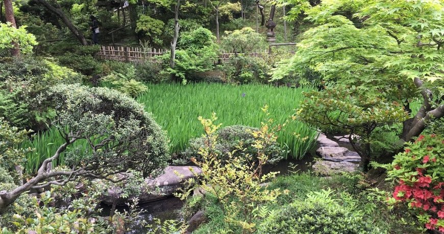 موزه نزو توکیو موزه نزو توکیو