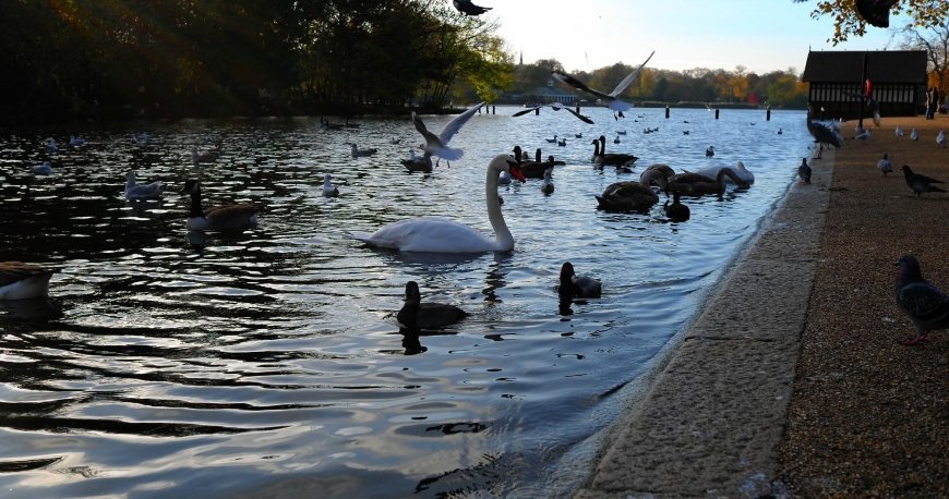 هاید پارک لندن هاید پارک لندن