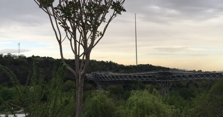 پل طبیعت پل طبیعت