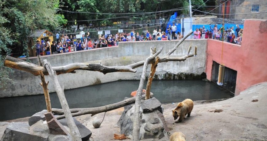 باغ وحش ایروان