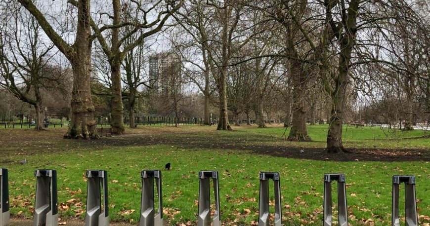 هاید پارک هاید پارک