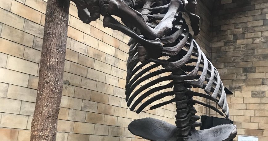 نگارخانه ملی لندن نگارخانه ملی لندن