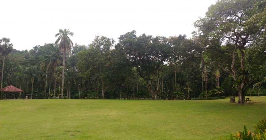 پارک پردانا بوتانیکال کوالالامپور پارک پردانا بوتانیکال کوالالامپور