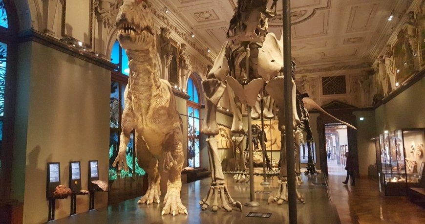 موزه نچرال هیستوری وین موزه نچرال هیستوری وین