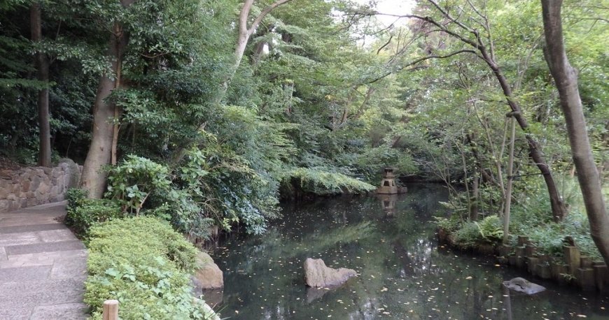 موزه نزو موزه نزو