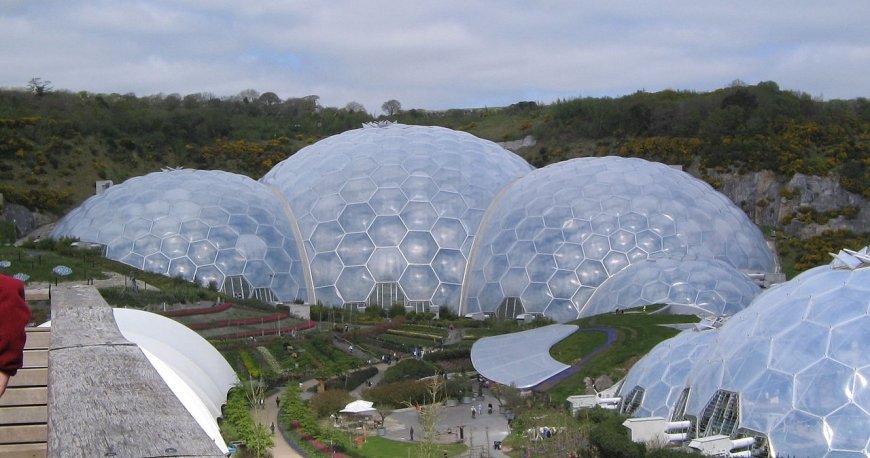 باغ گیاهشناسی گوتنبرگ