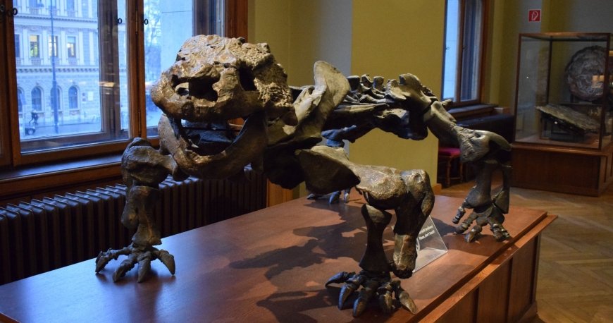 موزه نچرال هیستوری وین موزه نچرال هیستوری وین