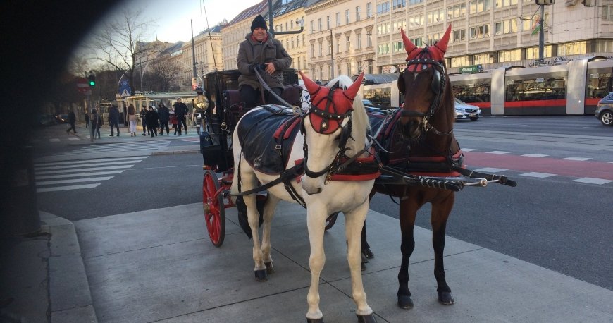 مرکز تاریخ وین مرکز تاریخ وین