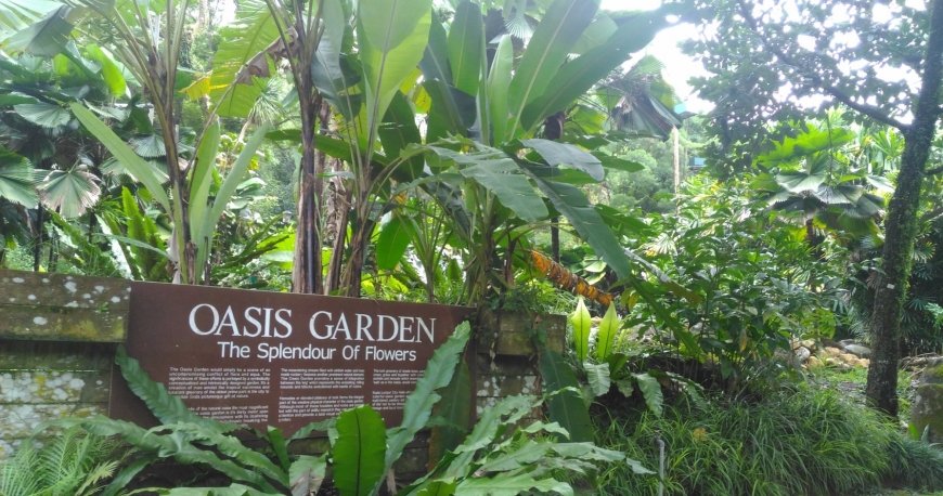 پارک پردانا بوتانیکال کوالالامپور پارک پردانا بوتانیکال کوالالامپور