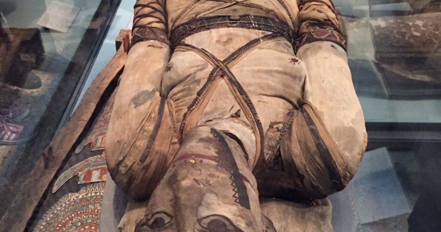 موزه بریتانیا لندن