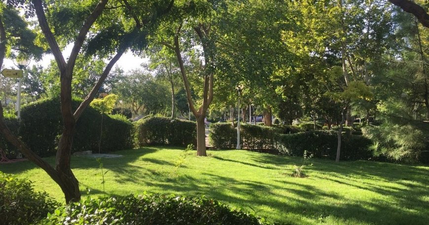 پارک کوهسنگی مشهد پارک کوهسنگی مشهد