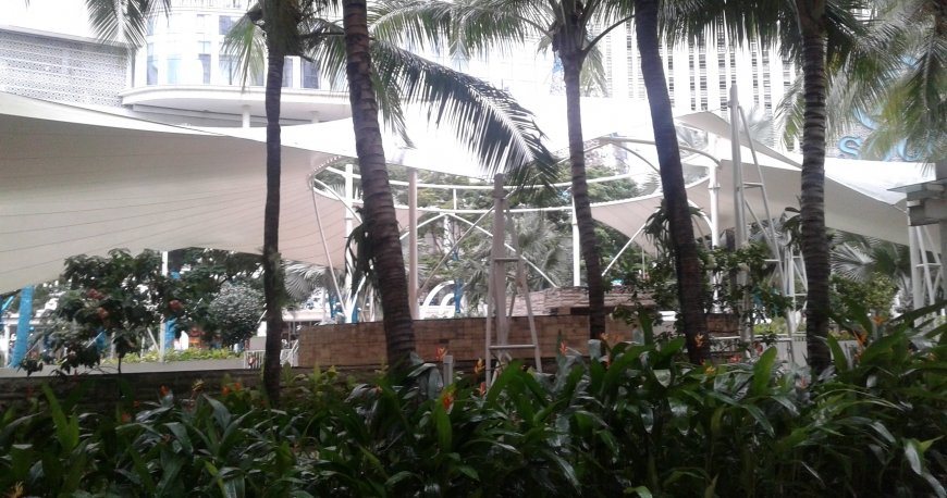 سنترال پارک سنترال پارک