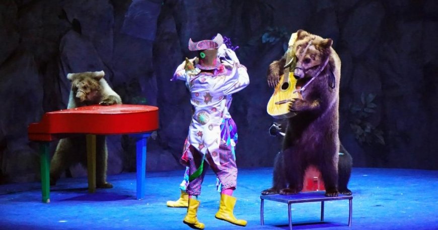 سیرک بین المللی چیملانگ گوانجو