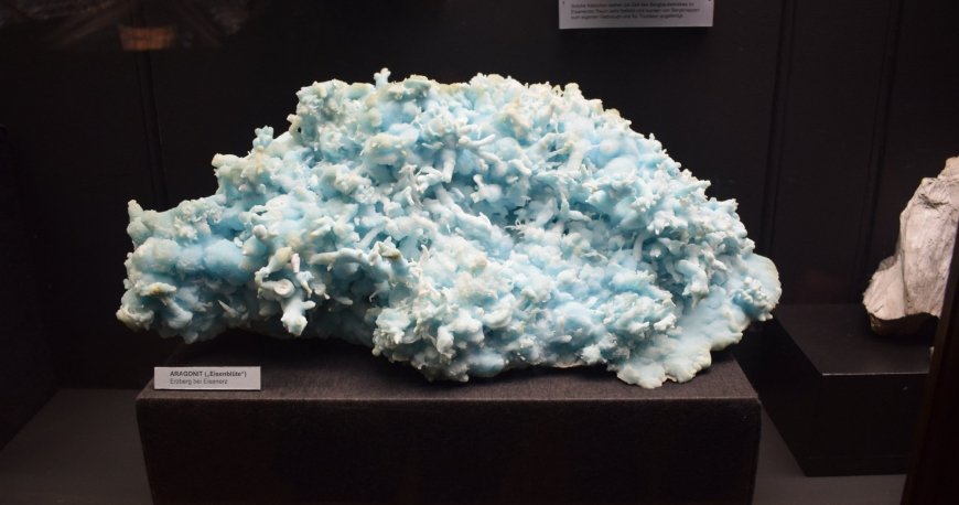 موزه نچرال هیستوری وین موزه نچرال هیستوری وین