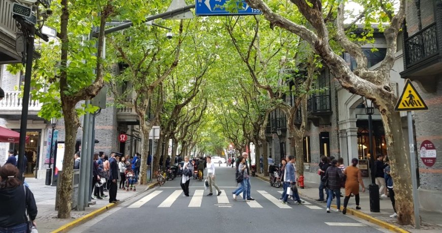 محله زین تیان دی شانگهای
