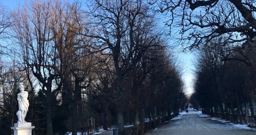 شان برنر گاردنز وین شان برنر گاردنز وین