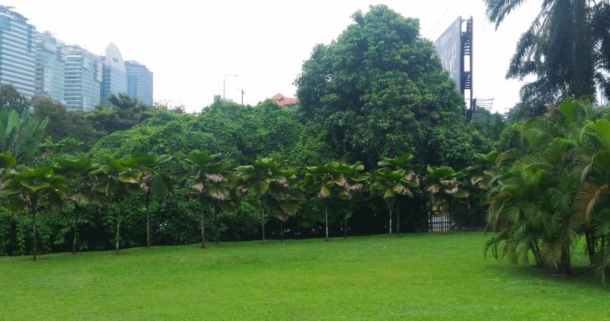 پارک پردانا بوتانیکال کوالالامپور پارک پردانا بوتانیکال کوالالامپور