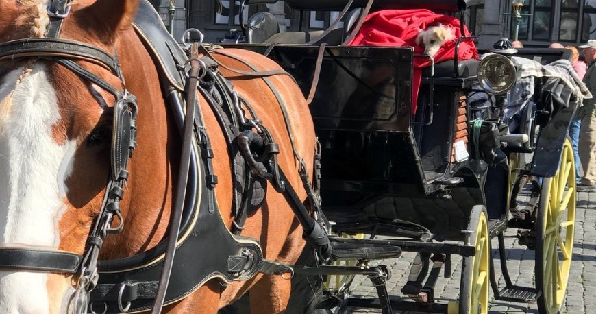 گرند پالاس بروکسل