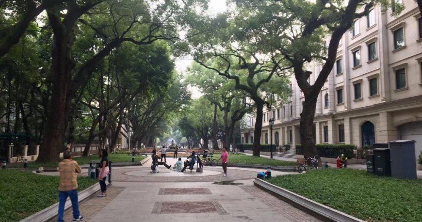 جزیره شامیان گوانجو جزیره شامیان گوانجو