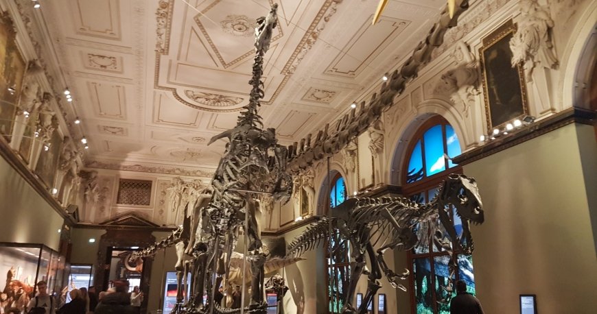 موزه نچرال هیستوری وین موزه نچرال هیستوری وین