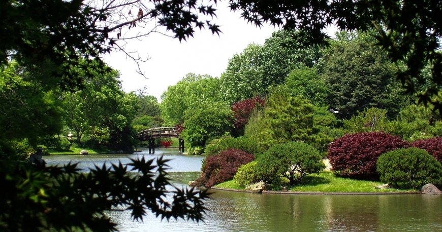 باغ گیاهشناسی گوتنبرگ