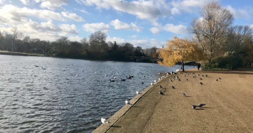 هاید پارک لندن هاید پارک لندن