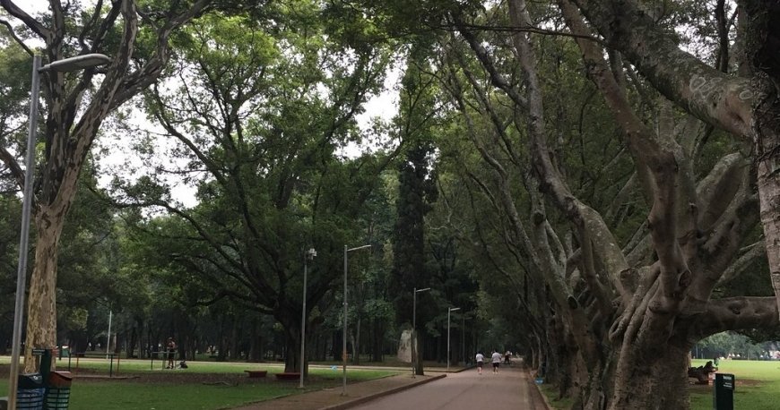 پارک ایبریپورا سائوپائولو