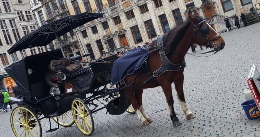 گیلد هاوس بروکسل