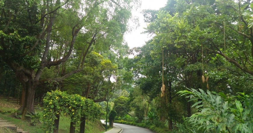 پارک پردانا بوتانیکال کوالالامپور پارک پردانا بوتانیکال کوالالامپور