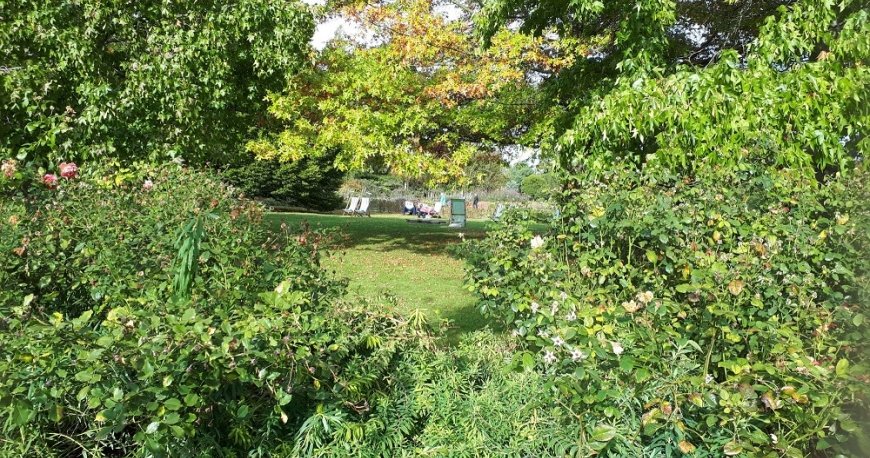 ریجنتز پارک لندن